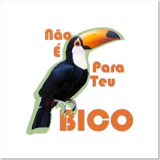 TUCANO Posters and Art